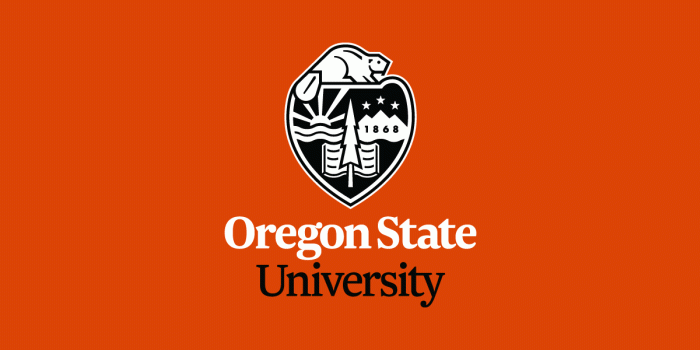 1600x600 Mission Statement & Program Description - Business Inclusion