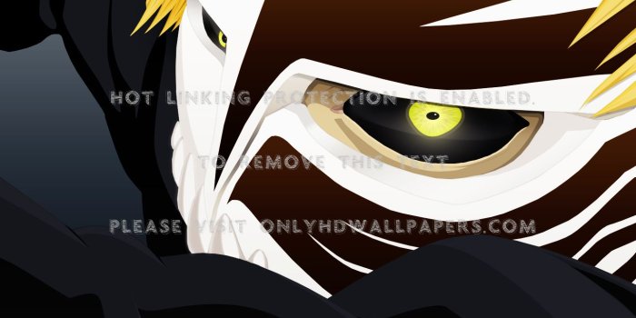 1365x1024 bleach kurosaki ichigo hollow