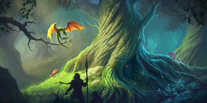 1504x940 Old, Tree, Wallpaper, High Resolution Digital Photos, Widescreen