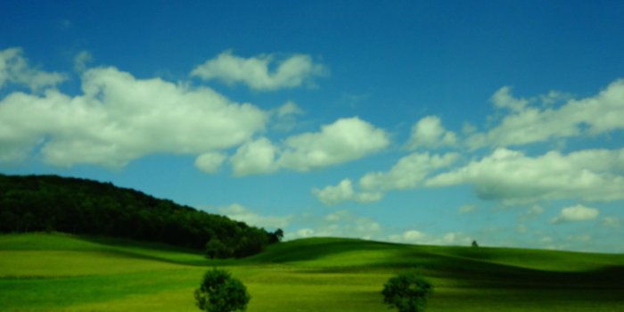 2764x2073 Took this in Virginia. Reminds me of the old Windows wallpaper - Imgur