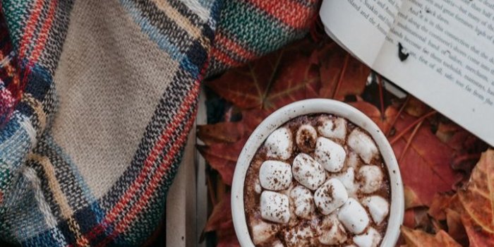 720x1520 Cocoa Marshmallow Autumn Plaid Book Wallpaper - [720x1520]