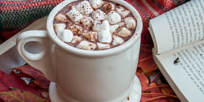 1350x2400 Download wallpaper 1350x2400 cocoa, marshmallow, plaid, book, autumn