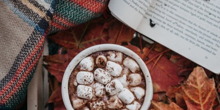 1080x1920 Coffee, cocoa, marshmallow, book, leaves, autumn 1080x1920 iPhone 8