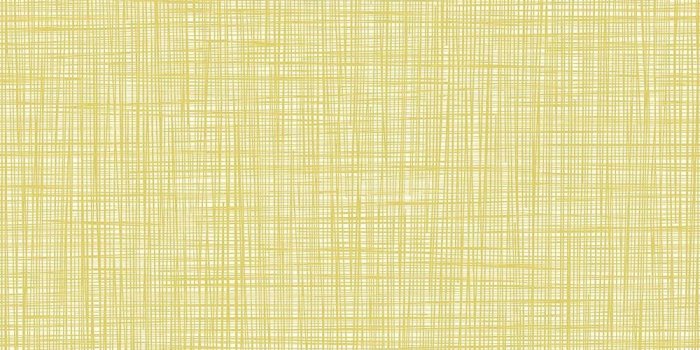 1000x1000 Orla Kiely wallpaper Multi Stem Autumn