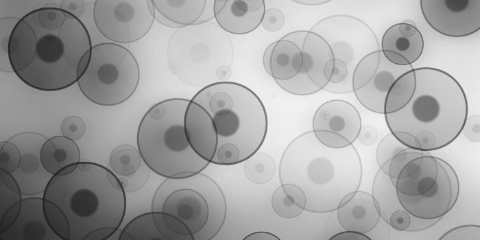 2560x1600 Grey Wallpaper Images Pictures Backgrounds HD Wallpapers Download