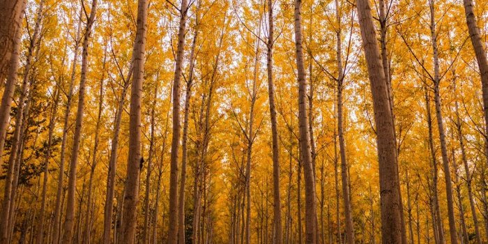 1080x1440 Autumn Images | Download Free Images on Unsplash