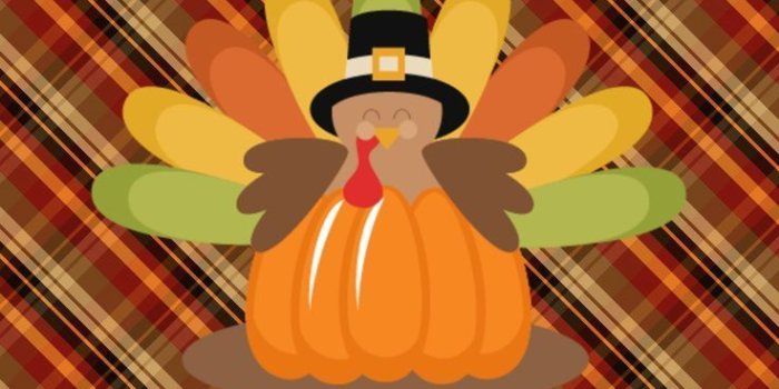 736x1308 Thanksgiving Holiday Wallpapers - Top Free Thanksgiving Holiday