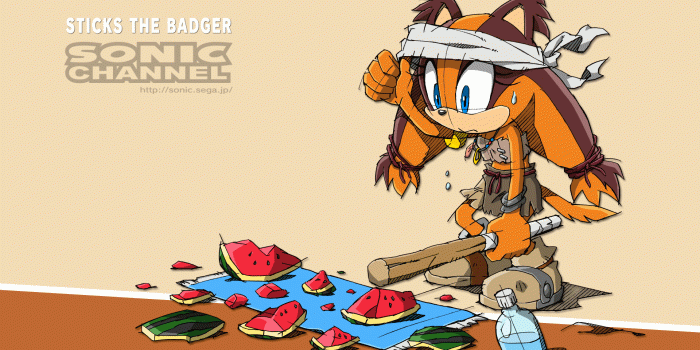 1920x1200 Wallpapers – Sonic Channel | Last Minute Continue