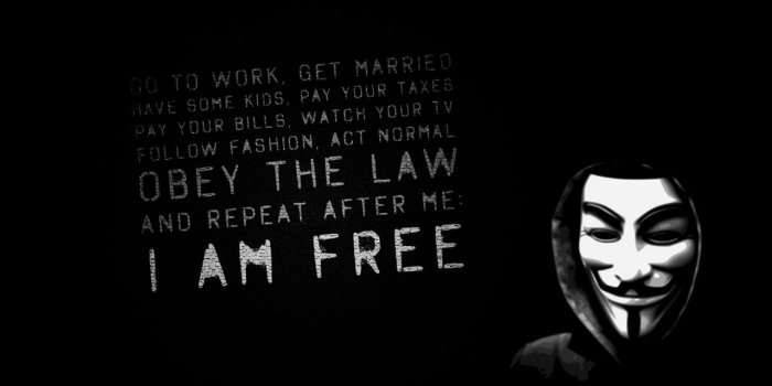 1280x804 Obey the law wallpapers | Obey the law stock photos