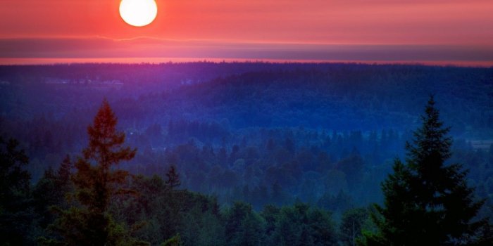 1280x720 Wallpaper Sunset, Forest, HD, Nature, #4892