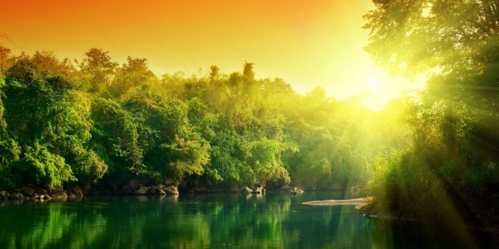 2560x1600 River Forest Sunset HD wallpaper