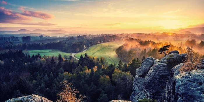 1920x1080 Sunset light reflected in the fog above the forest wallpaper