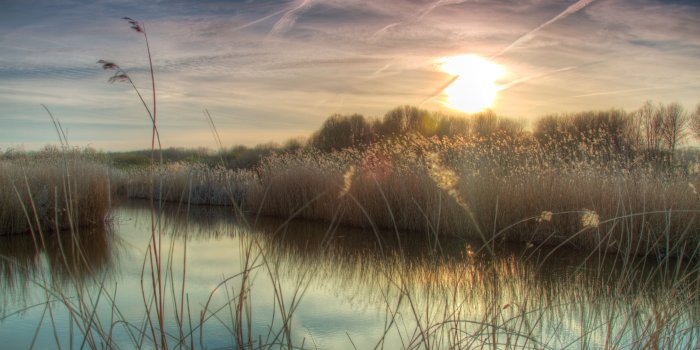 5120x3200 Sunset at Bieslandse Forest ❤ 4K HD Desktop Wallpaper for 4K Ultra