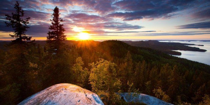 1280x804 Deep Sunset Forest Lake Stones wallpapers | Deep Sunset Forest Lake