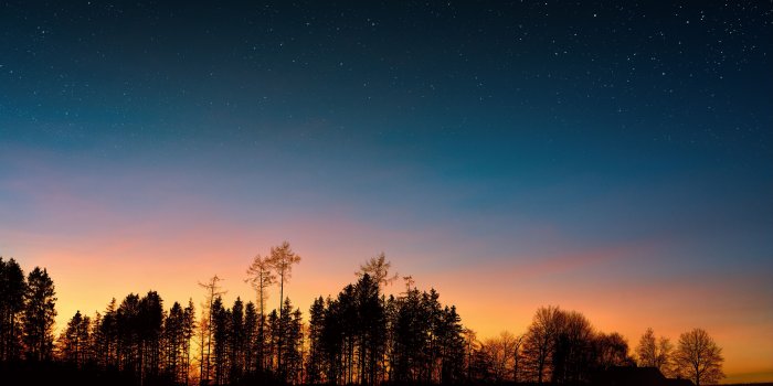 6000x3375 Starry Sky Trees Sunset Night Forest - Free Stock Photos, Images, HD