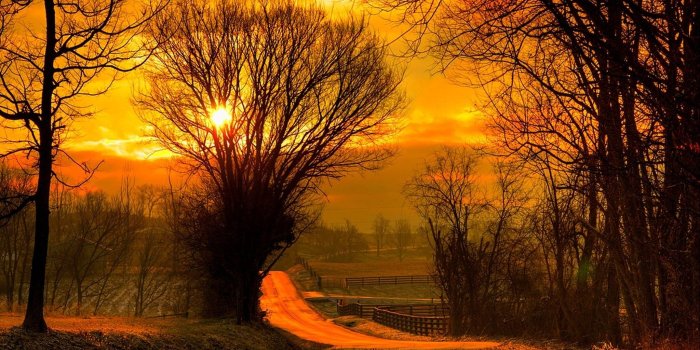 2048x1364 Trees, Field, Fresh, Sky, Forest Sunset,HD Nature Wallpapers, Nice