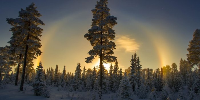 1920x1200 Sunset over the snowy forest wallpaper - Nature wallpapers - #35334