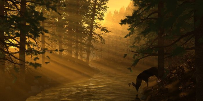 1680x1050 Forest River Trees Nature Sunset Wallpaper High Resolution ~ Forest