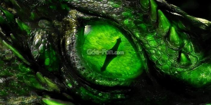 1920x1200 Green Dragon Wallpapers - Top Free Green Dragon Backgrounds