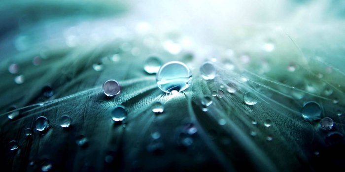 1920x1080 Great s HD wallpaper | 1920x1080 | #30486