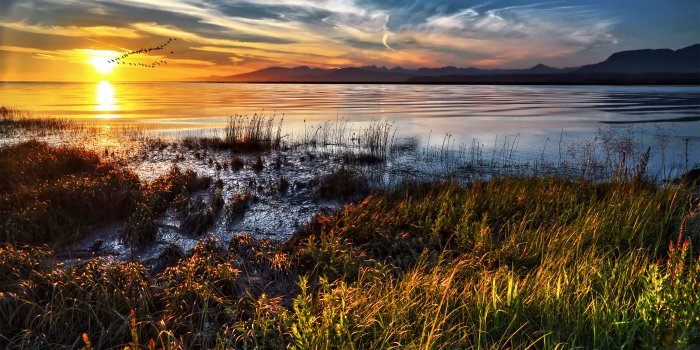 2560x1440 30 Great HD Wallpapers | CrispMe