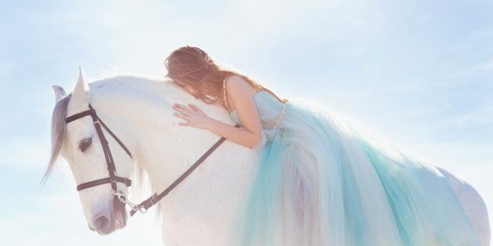 1920x1200 White Horse Wallpapers Full Hd - Sotoak