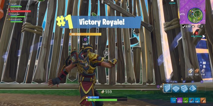 1920x1080 Fortnite Victory Royale Dance Wallpaper Background 64481 1920x1080px