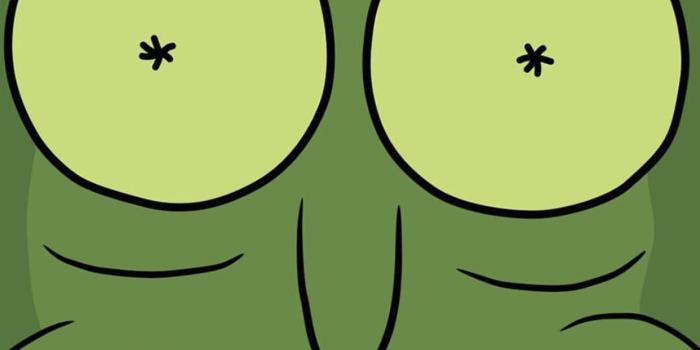 1242x2208 Pickle rick wallpaper from @rickandmorty on instagram. Putting it