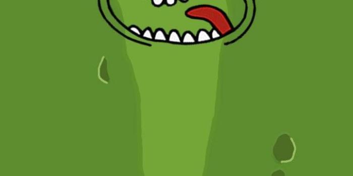 720x1280 Download Pickle Rick Wallpaper by Rampiid - 42 - Free on ZEDGE™ now