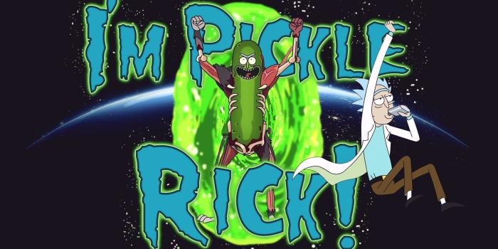 1920x1080 Pickle Rick Wallpapers