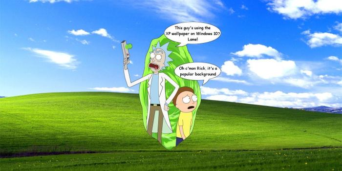 1366x768 Pickle Rick Wallpapers