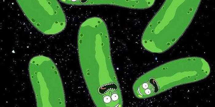 721x1280 Pickle Rick Wallpaper by Michael12483 - d6 - Free on ZEDGE™