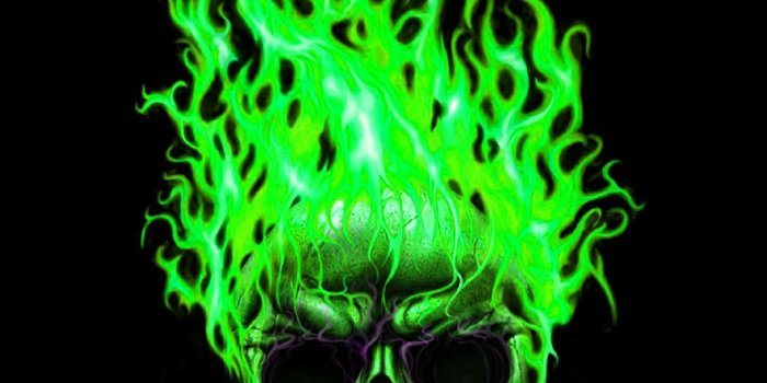 2160x1920 76+ Green Skull Wallpapers on WallpaperPlay