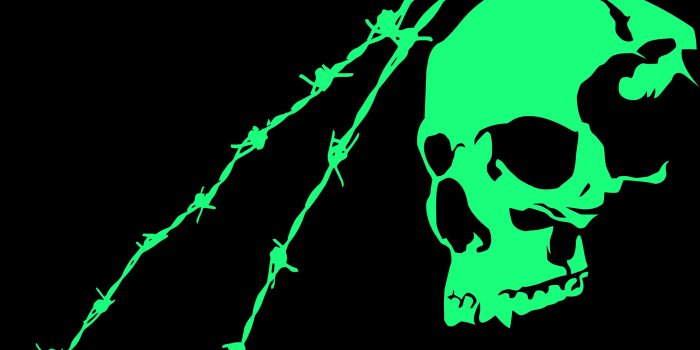 2560x1440 Black Green Skull Minimalist, HD Artist, 4k Wallpapers, Images