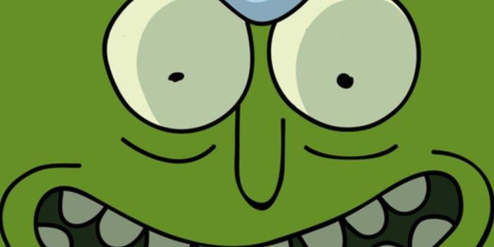 1376x1111 Rick and Morty: Pickle Rick Face | Rick and morty | Rick, morty