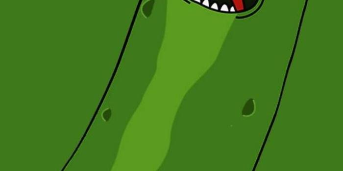 720x1280 Pickle Rick Wallpaper by aireljaramillo - bf - Free on ZEDGE™