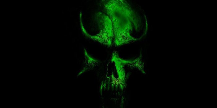 2560x1440 Neon Skull Wallpapers