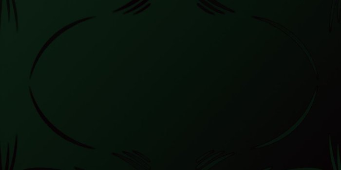 1080x1920 Green Skull Case Cool Wallpaper For Your Mobile Phone