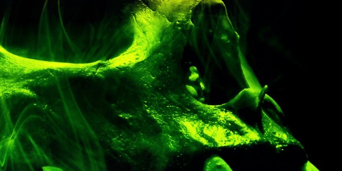 1080x1920 Smoking Skull Phone Wallpaper - Smoking Skull Wallpaper Iphone