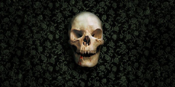 1600x1200 skull wallpapers green - HD Desktop Wallpapers | 4k HD