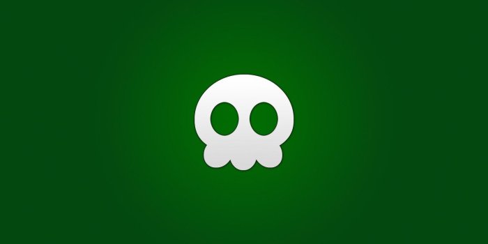 1680x1050 Green Skull Wallpapers