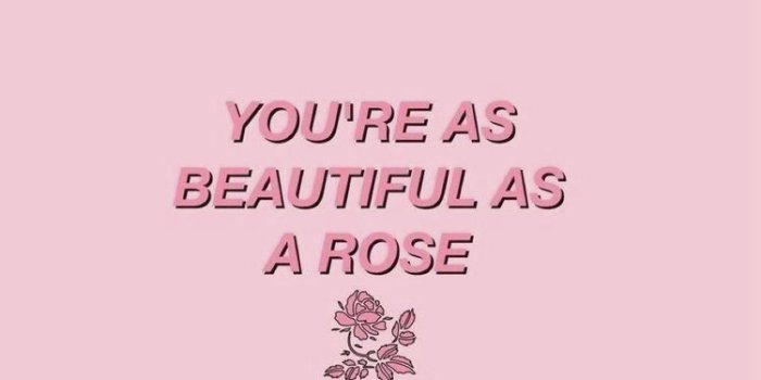 750x1268 10 Pastel Pink Wallpaper Tumblr Hd - Download Wallpaper HD For PC