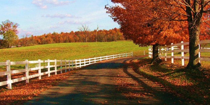 1600x1200 Beautiful Fall Wallpapers - Autumn Wallpaper (15496207) - Fanpop