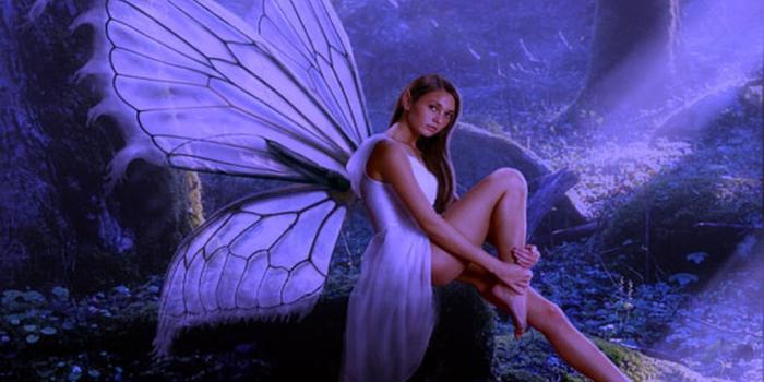 1024x768 Butterfly Fairy Wallpapers - Top Free Butterfly Fairy Backgrounds