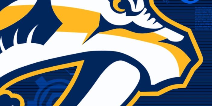 1080x1920 Nashville Predators iPhone Wallpaper (68+ images)