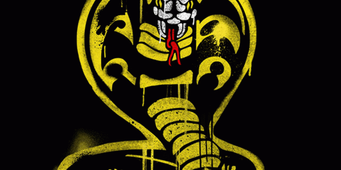 1125x2001 Cobra Kai Wallpapers