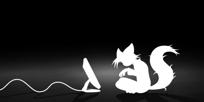 1600x1200 Clean furry wallpapers Gallery