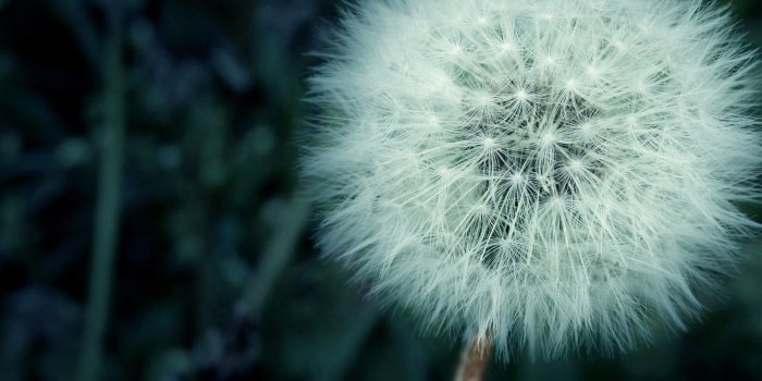 1920x1080 Clean Wallpapers, Clean Images and Wallpapers for Mac, PC FN Clean