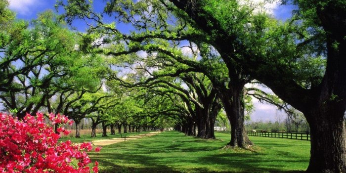 1920x1440 64+ Nice Nature Wallpapers on WallpaperPlay