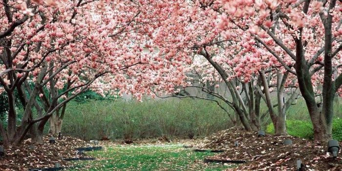 1152x864 Cute Natural Wallpapers Hd gallery Photo Gallery, Cute Natural